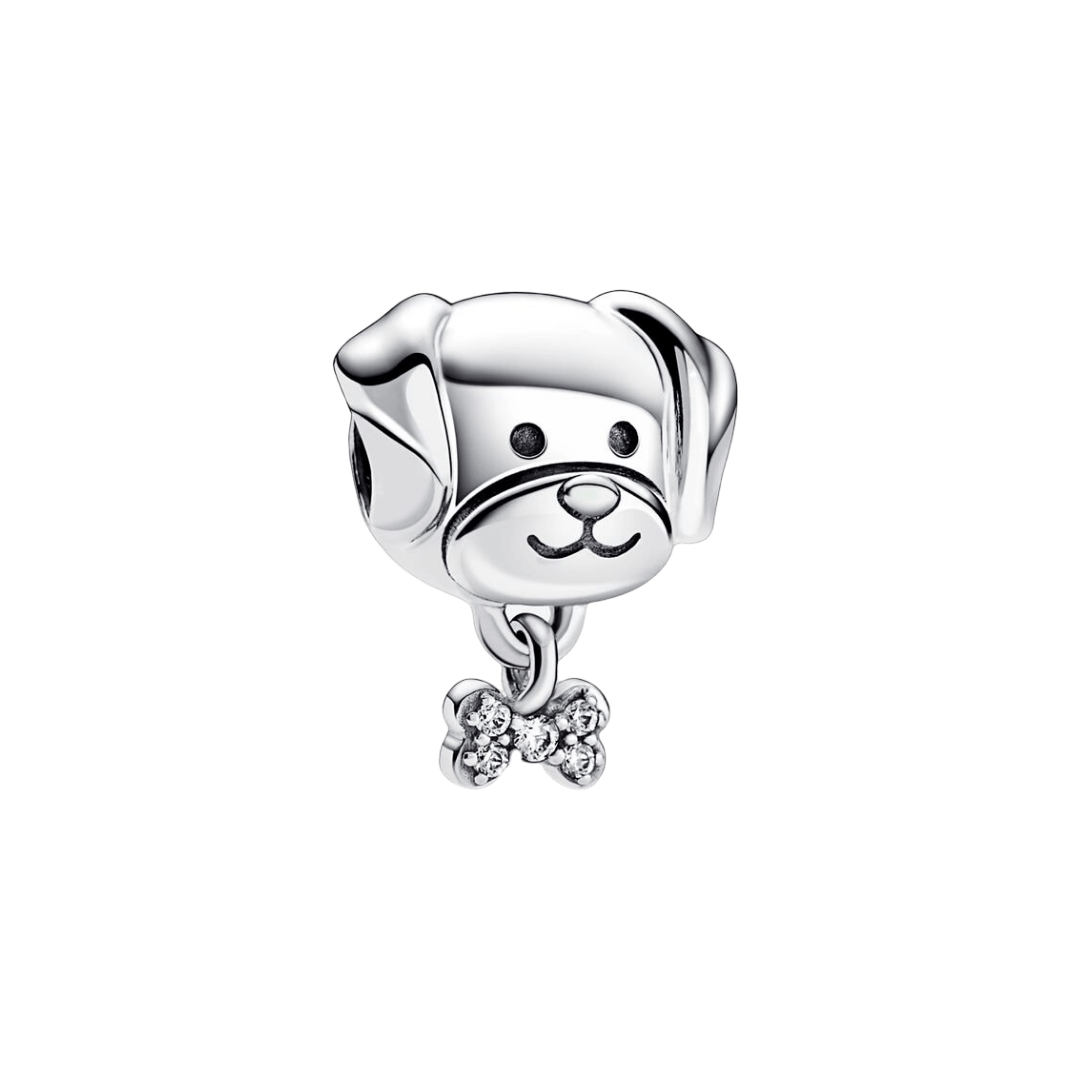 Evcil Köpek ve Kemik Charm
